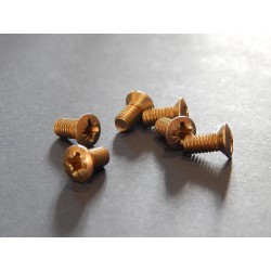 Vis de Cache d'Inspection du Rotor / Alternateur BSA et Triumph