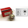 Ampoule de Phare 6V 45/40W P45T