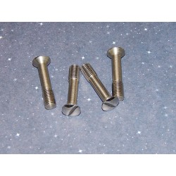Jeu de 4 Vis pour Montage Porte Bagage sur Réservoir d'Essence Triumph