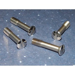 Jeu de 4 Vis pour Montage Porte Bagage sur Réservoir d'Essence Triumph