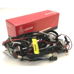 Faisceau Électrique pour BSA  Séries B et M (1946-55) Lucas