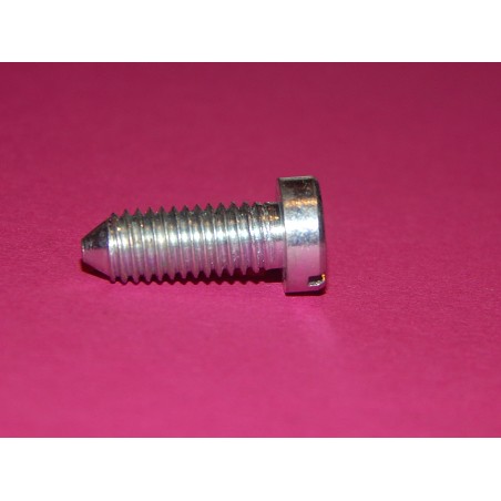 Vis pour Montage des Grippes Genoux, Triumph 5T, 6T, T120, T100 etc