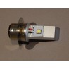 Ampoule LED 6V, 12V et 24V type British Pre Focus, Authentique Lucas