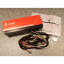 Faisceau Électrique Principal Lucas pour Triumph T120 TR6 (1971-73) et BSA A50 A65 (1970-72)