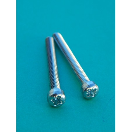 Vis Longues Pour Maître Cylindre Avant Triumph (Paire)