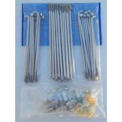 Jeu de 40 Rayons et Écrous en Inox pour Roue Avant Triumph et BSA 8 Pouces 1967-