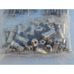 Jeu de 40 Rayons et Écrous en Inox pour Roue Arrière QD en 18 Pouces Triumph