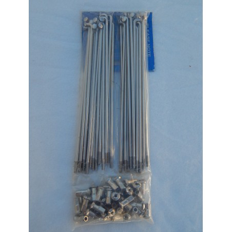 Jeu de 40 Rayons et Écrous en Inox pour Roue Arrière QD en 18 Pouces Triumph