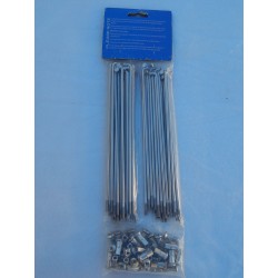 Jeu de 40 Rayons et Écrous en Inox pour Roue Arrière QD en 18 Pouces Triumph