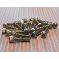 Vis Type Allen pour Triumph 14-7006 1/4 UNC x 1