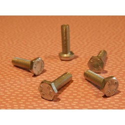 Boulon 1/4" UNF x 7/8" x 5
