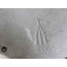 Carter de Distribution BSA A7 et A10 1950-62