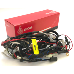 Faisceau Électrique Lucas pour Triumph T140, TR7 (1973-75)