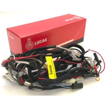 Faisceau Électrique Lucas pour Triumph T140, TR7 (1973-75)