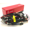 Faisceau Électrique Lucas pour Triumph T140, TR7 (1973-75)