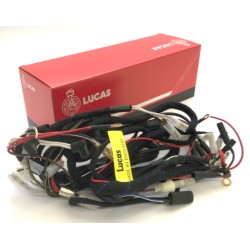 Faisceau Électrique Lucas pour Triumph T120 TR6 Magnéto et Alternateur (1960-62)