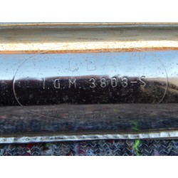 Silencieux Cyclo Sport Italien IGM 3803-S Benelli?