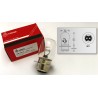 Ampoule 12V 45/40W British Pre Focus