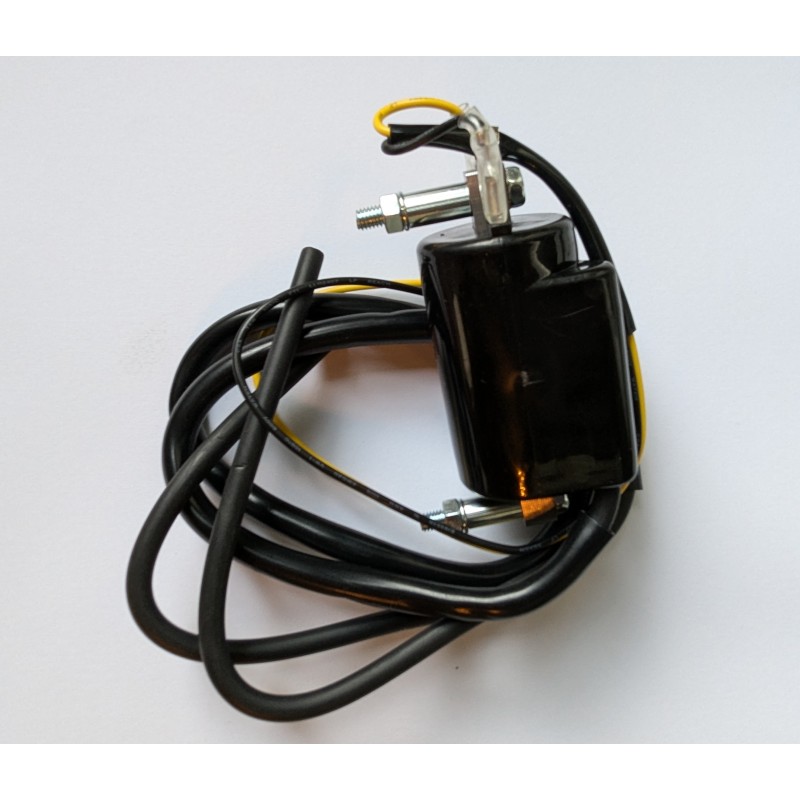 Bobine 12V avec 2 Câbles, Motos Japonaises Classiques