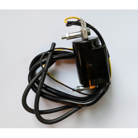 Bobine 12V avec 2 Câbles, Motos Japonaises Classiques
