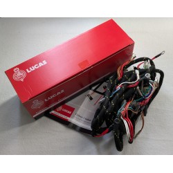 Faisceau Électrique Lucas pour Norton Commando (1975)