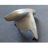 Support du Feu Arrière D'Occasion Lucas 679 pour Triumph 350cc, 500cc et 650cc de 1966-1967