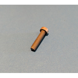 Vis Nueve d'Époque Pour Collier de Culasse Triumph TR6R, T120R et T100R de 1972