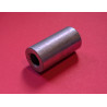 Entretoise de Plaque Droit de Montage Moteur Triumph TSX 1982-83