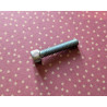 Vis Zingué Type Allen pour Triumph 14-7007 1/4 UNC x 1 1/4
