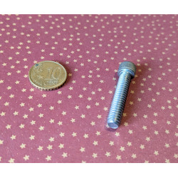 Vis Zingué Type Allen pour Triumph 14-7007 1/4 UNC x 1 1/4