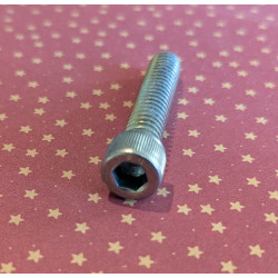 Vis Zingué Type Allen pour Triumph 14-7007 1/4 UNC x 1 1/4