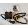 Régulateur Électronique Lucas 12V Simple Phasé 120W