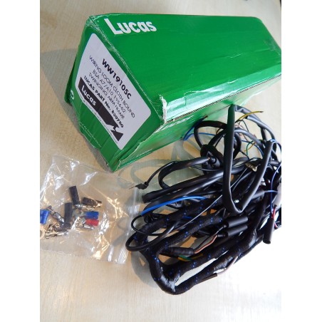 Faisceau Électrique Lucas pour BSA A50 et A65 (1966-67)