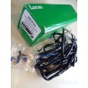 Faisceau Électrique Lucas pour BSA A50 et A65 (1966-67)