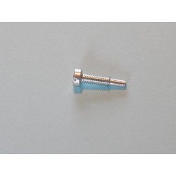 Vis de Vidange de Fourche BSA