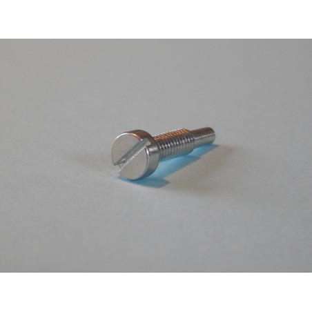 Vis de Vidange de Fourche BSA
