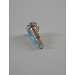 Vis de Vidange de Fourche BSA