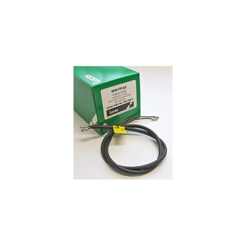 Faisceau Électrique Secondaire Universel de 76cm Pour Feu Arrière