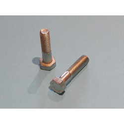 Boulons des Embouts de Fourche Triumph 1968- (Paire)