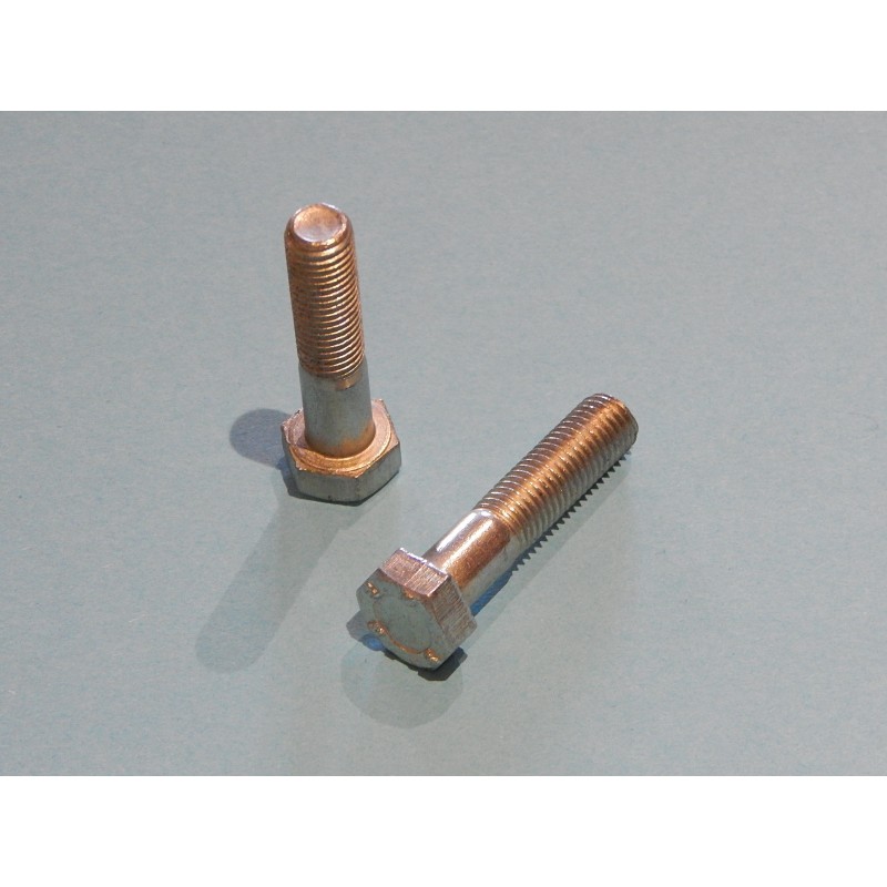 Boulons des Embouts de Fourche Triumph 1968- (Paire)