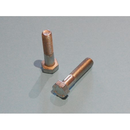 Boulons des Embouts de Fourche Triumph 1968- (Paire)