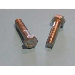 Boulons des Embouts de Fourche Triumph 1968- (Paire)