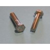 Boulons des Embouts de Fourche Triumph 1968- (Paire)