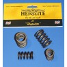Jeu de 4 Ressorts De Soupapes BSA C15SS, SS80, SS90, B44, B50, B32, B34 Goldstar