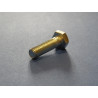 Boulon de Pontet de Guidon Triumph