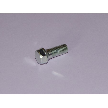 Boulon de Banjo de Tuyau d'Huile de Culbuteur 65-0317