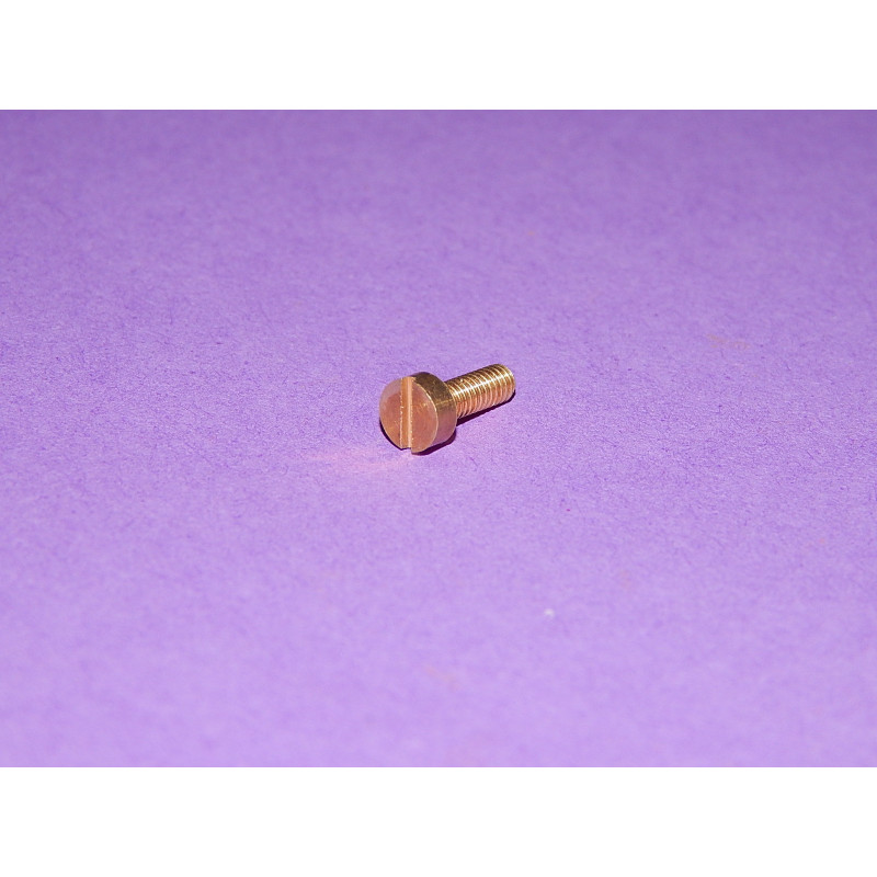 Vis de Plaque qui Tient les  Charbons de Dynamo Lucas E3L