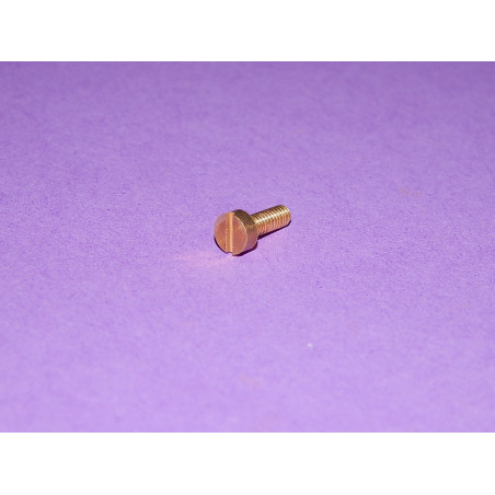 Vis de Plaque qui Tient les  Charbons de Dynamo Lucas E3L