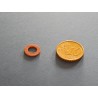 Rondelle en Fibre pour Triumph 02-4553