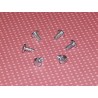 Jeu de 6 Vis pour Montage d'Enjoliveur de Roue Norton, AJS et Matchless